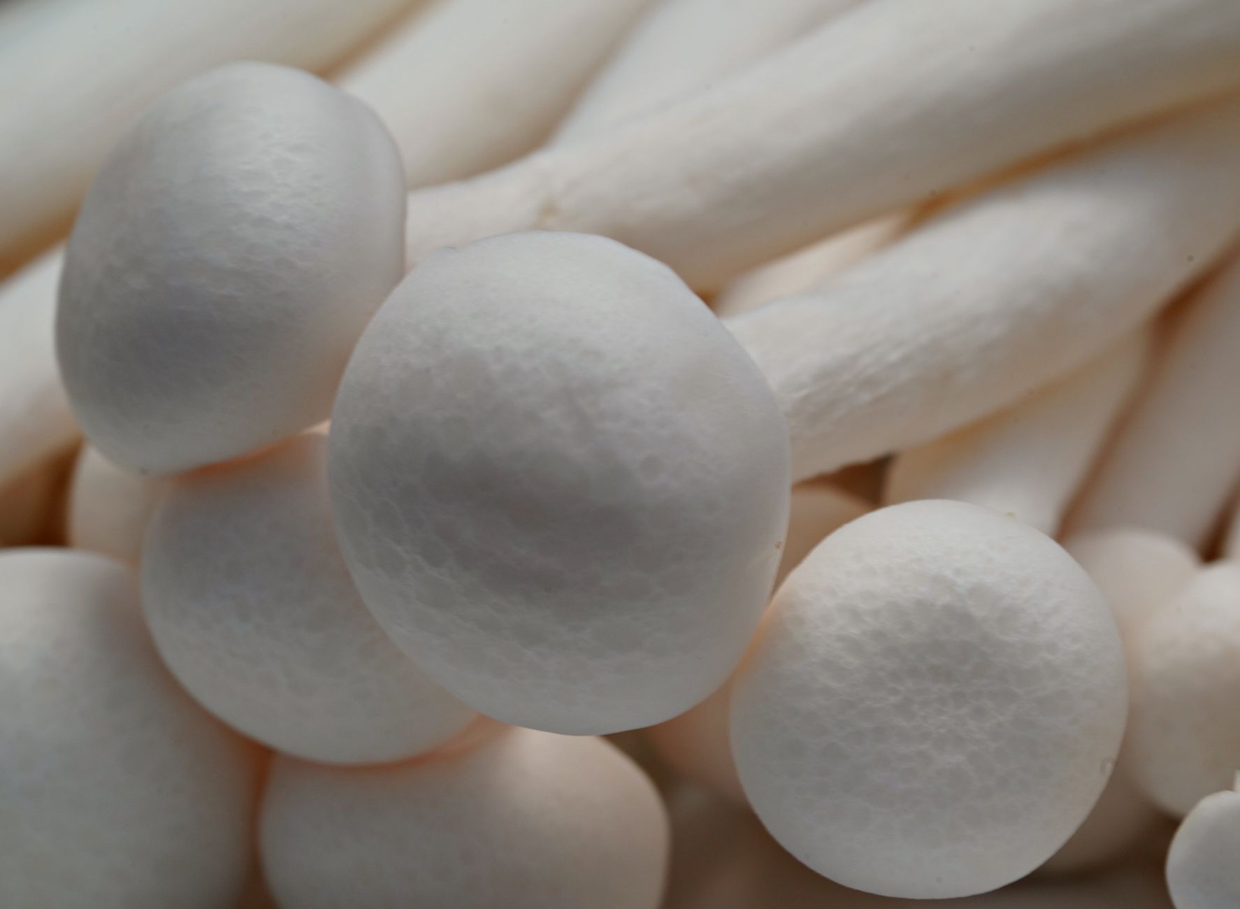 White enoki mushrooms growing upward from a glass jar on a table