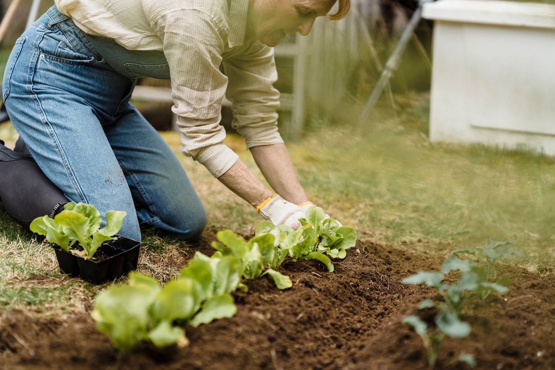 a person filling a wooden raised garden bed with rich compost and straw