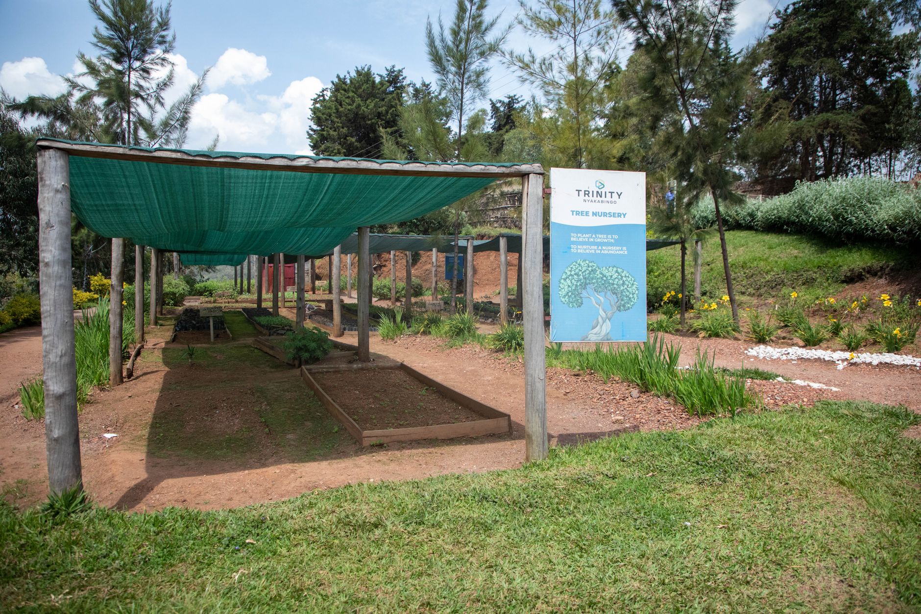 shade cloth stretched over a garden bed beneath a pine tree