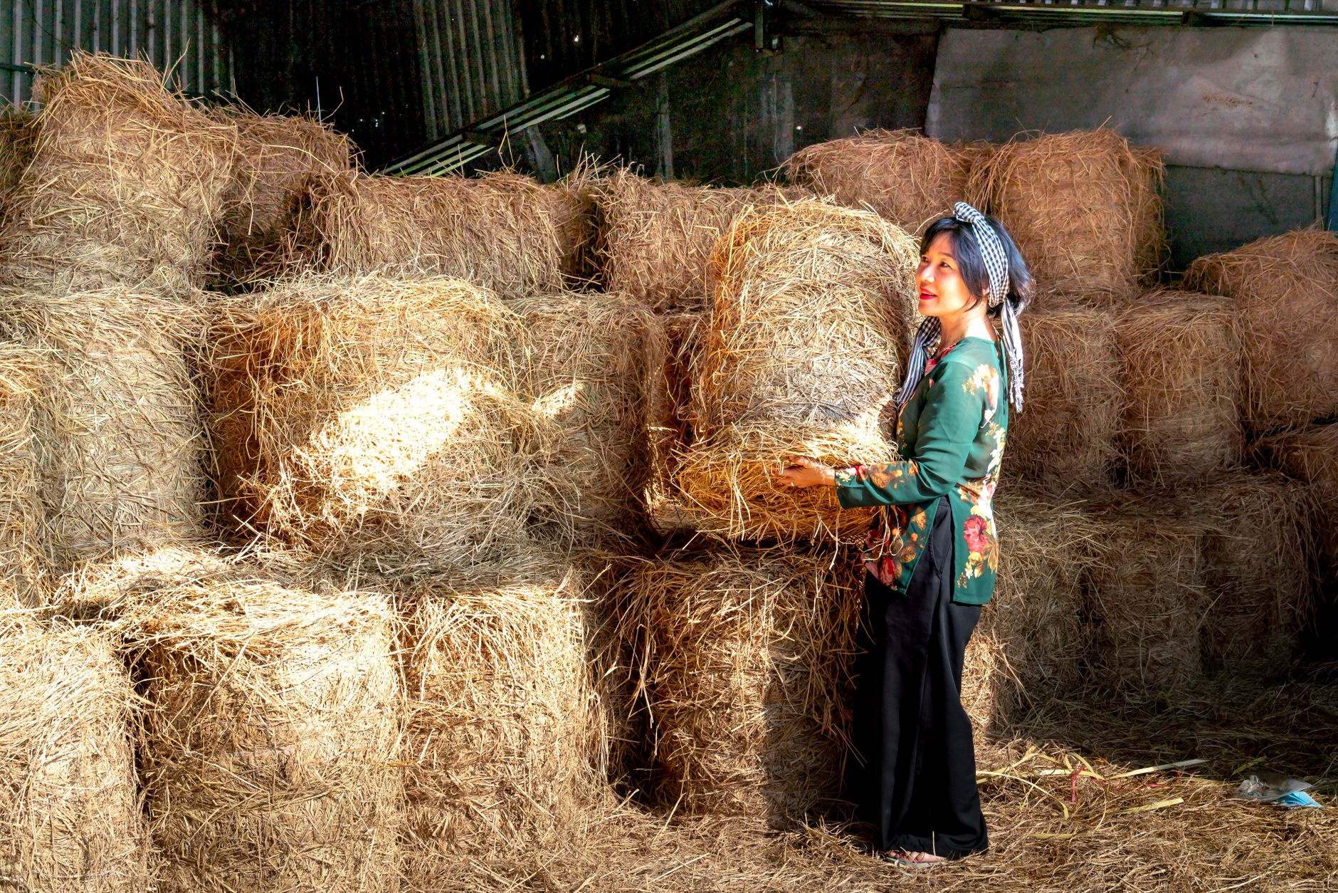 rice straw bales next to a spray bottle, thermometer, and plastic sheeting for mushroom growing